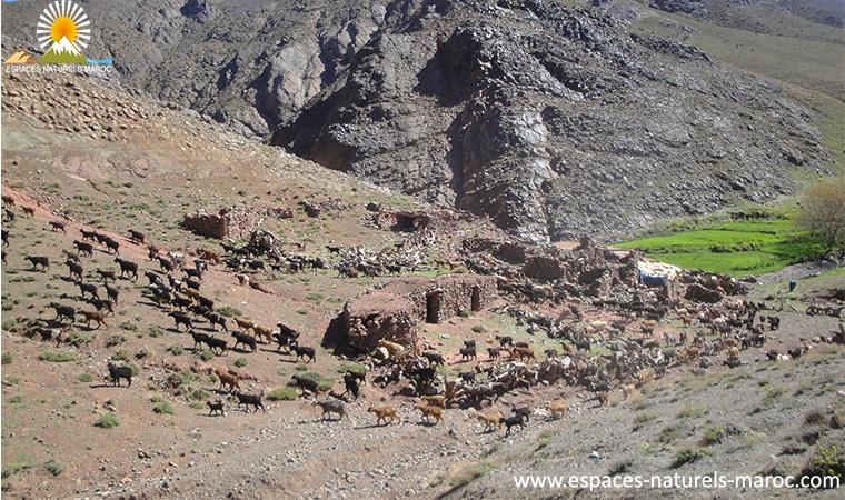 trek les villages berber de tassaout
